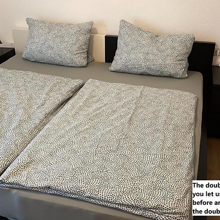 Ferienwohnung Mit 2 Zimmer, Kueche, Bad, In 萨尔布吕肯 外观 照片